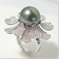 �p�[�������O