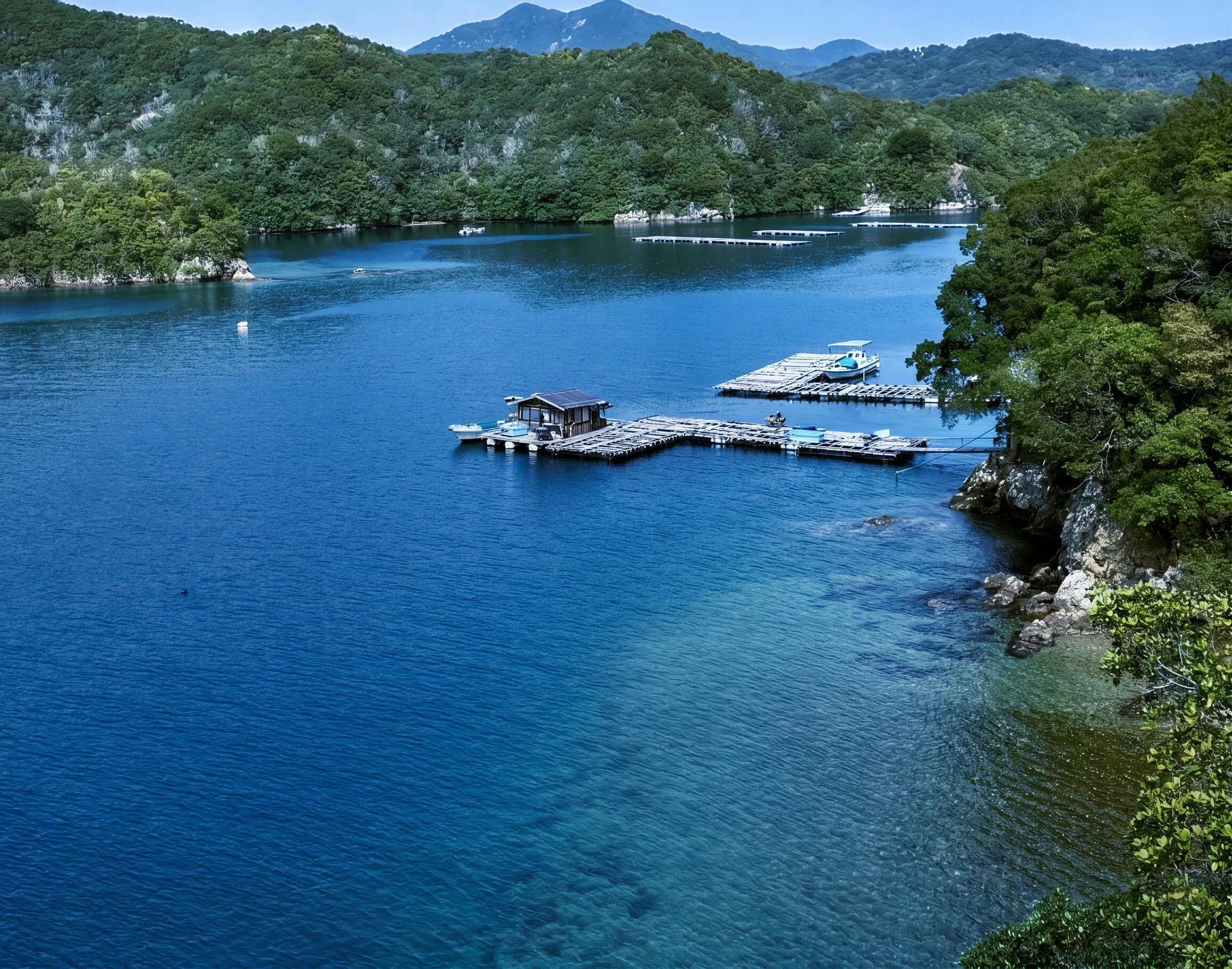 南伊势町海湾中漂浮着珍珠养殖筏