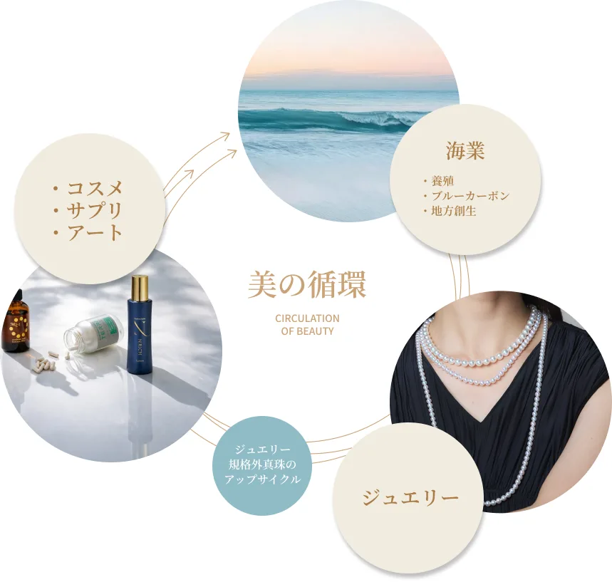 美の循環 CIRCULATION OF BEAUTY