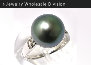 Jewelry Wholesale Division