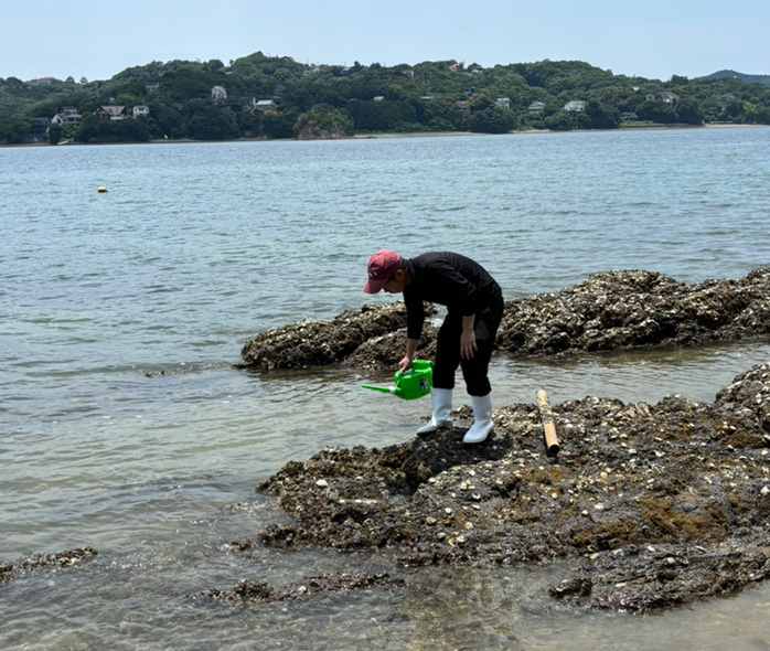 地域とともに進める、里海の再生事業